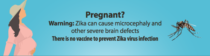 zika-pregnancy