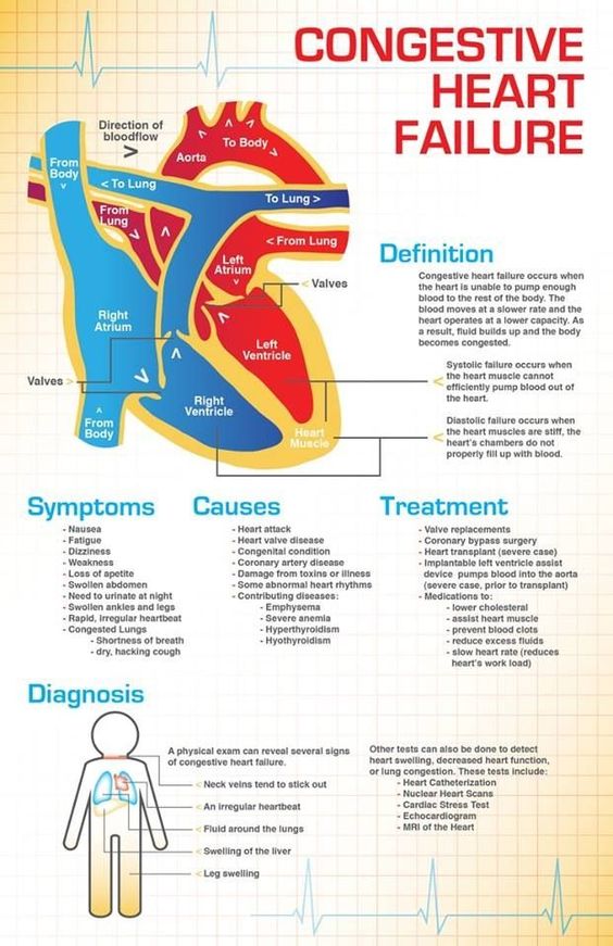 literature review of congestive cardiac failure