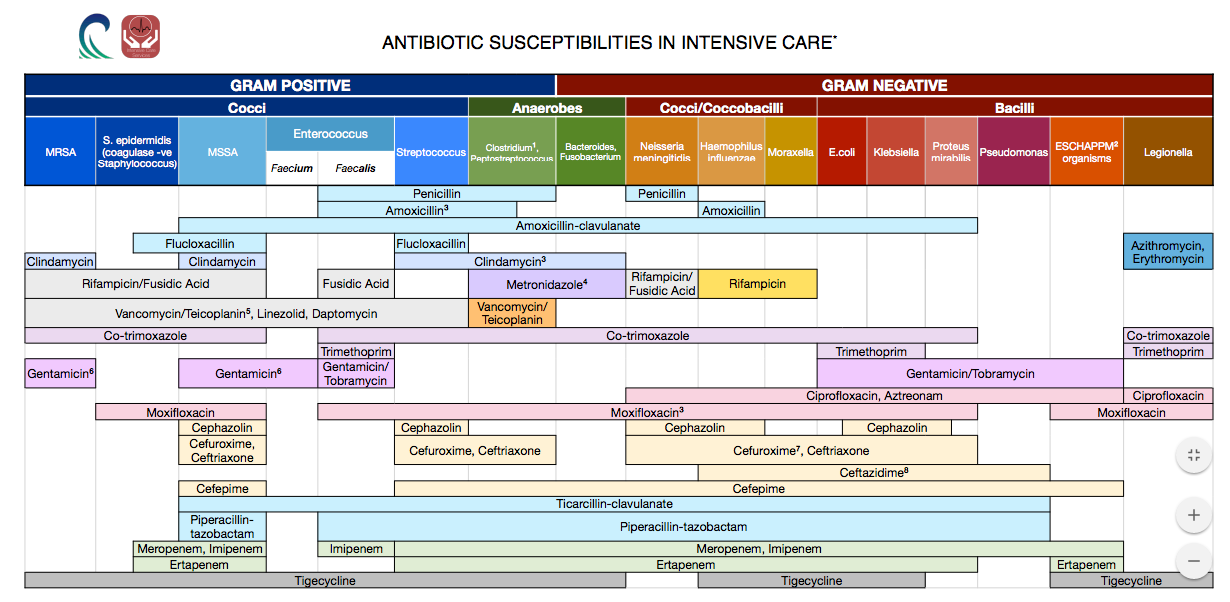 Antibiotic Chart