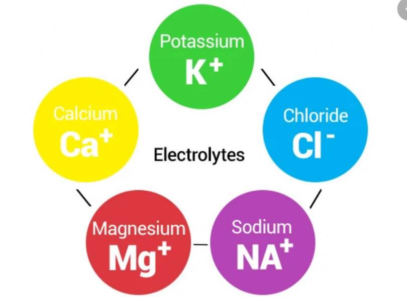 types of electrolytes