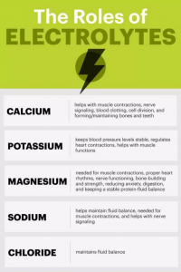 importance of electrolytes