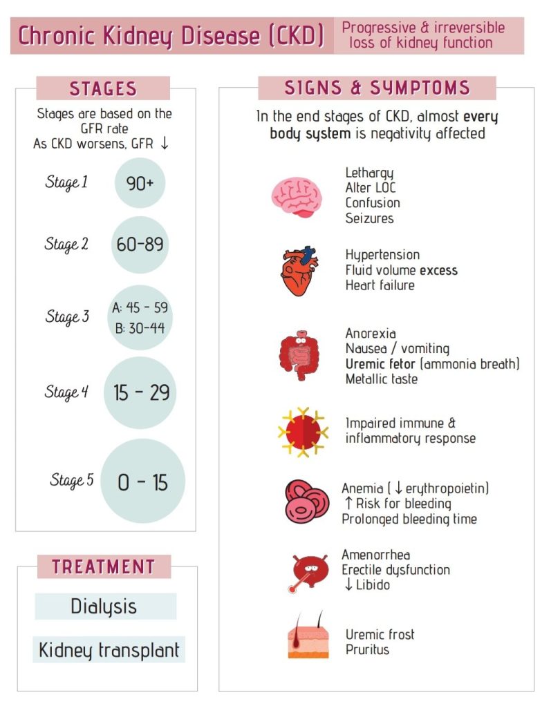 Kidney Diseases Charts at a glance Phartoonz